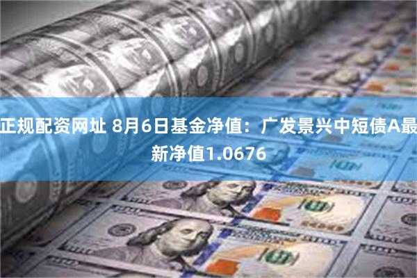 正规配资网址 8月6日基金净值：广发景兴中短债A最新净值1.0676