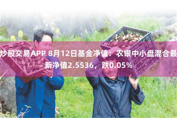 炒股交易APP 8月12日基金净值：农银中小盘混合最新净值2.5536，跌0.05%