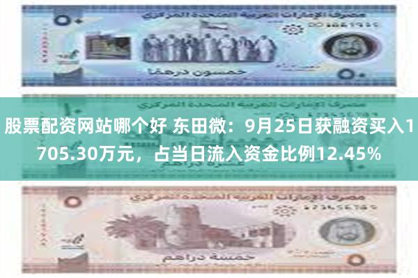 股票配资网站哪个好 东田微：9月25日获融资买入1705.30万元，占当日流入资金比例12.45%