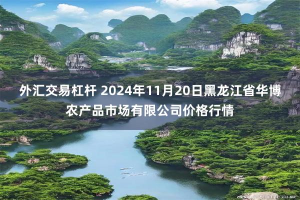 外汇交易杠杆 2024年11月20日黑龙江省华博农产品市场有限公司价格行情