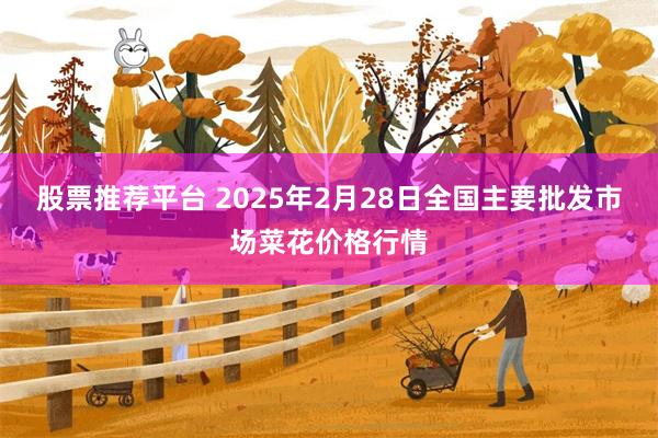 股票推荐平台 2025年2月28日全国主要批发市场菜花价格行情